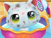 Play Cute Kitty Care Game on FOG.COM