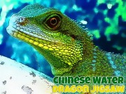 Play Chinese Water Dragon Jigsaw Game on FOG.COM